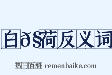 白𧁁荷反义词是什么意思的图片